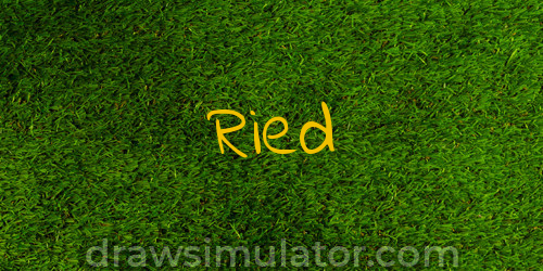 Ried